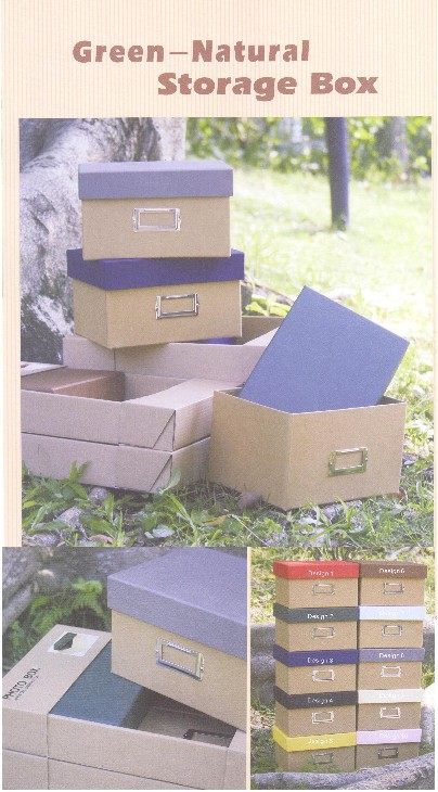 Green-Natural Storage Box