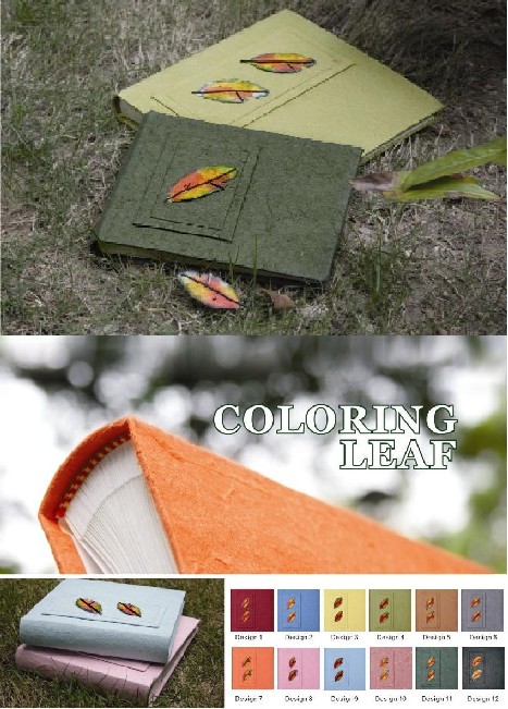 Coloring Leaf Collection (RN)